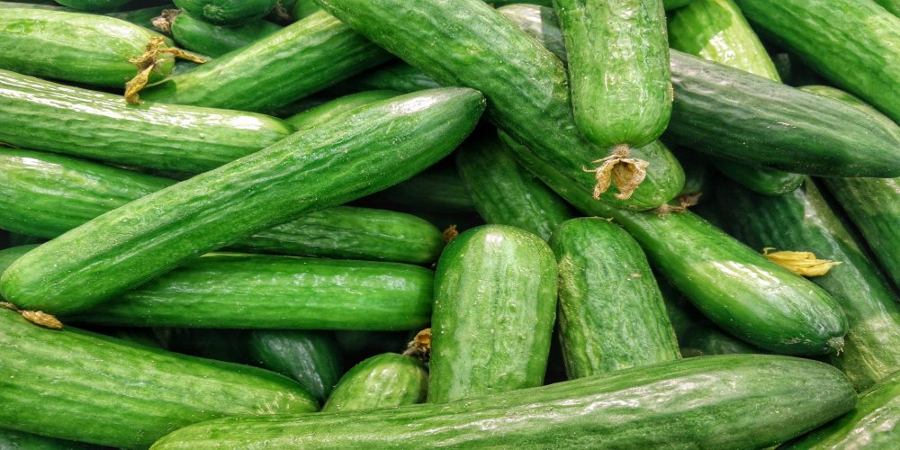 Customs clearance of cucumber